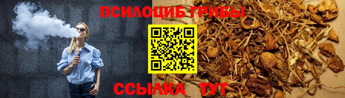 Отрадное  Галлюциногенные грибы ЛСД  цена   Псилоцибиновые грибы Psilocybine cubensis  Вход с VPN 